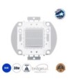 GloboStar® 73773 Υψηλής Ισχύος LED COB BRIDGELUX 30W 1500lm DC 28-32V - Μ5.5 x Π5.2 x Υ0.4cm - Μπλε - 2 Χρόνια Εγγύηση